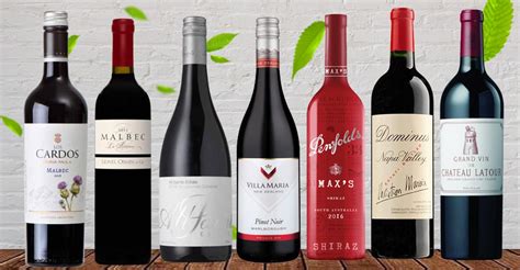 red wine in tagalog|12 Best Red Wines in Philippines 2024: Top Brands .
